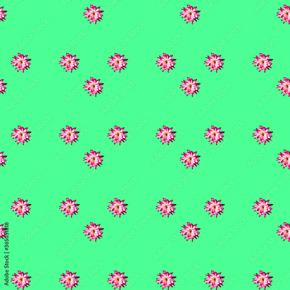 Colorful pattern with roses on a light green background