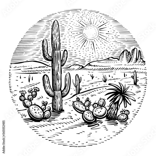Circle desert vector. Round western landscape sketch with cactus, sunset and rocks.