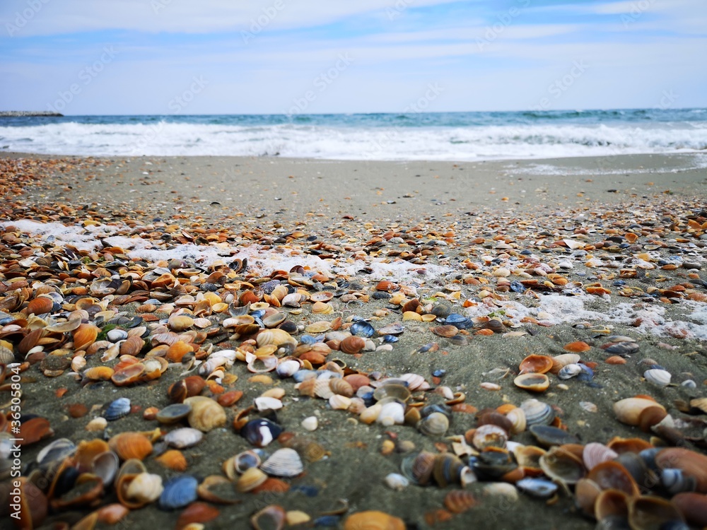 Black Sea, beach, water Black Sea, beach, water
