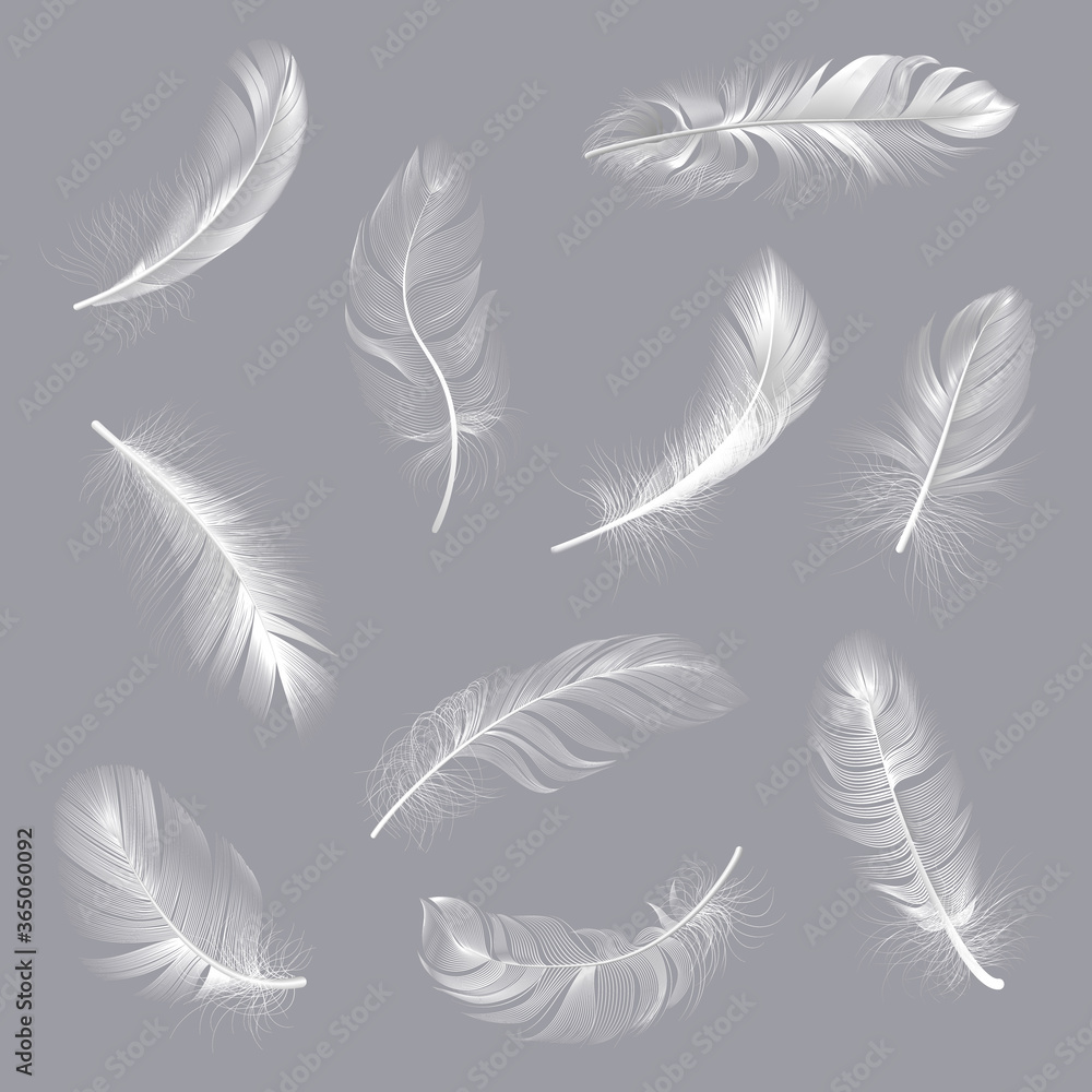 Realistic feathers. Fluffy white twirled feathers, bird wing falling weightless feather, flying lung quill isolated vector illustration set. White feather, fluffy soft realistic collection Realistic feathers. Fluffy white twirled feathers, bird wing falling weightless feather, flying lung quill isolated vector illustration set. White feather, fluffy soft realistic collection