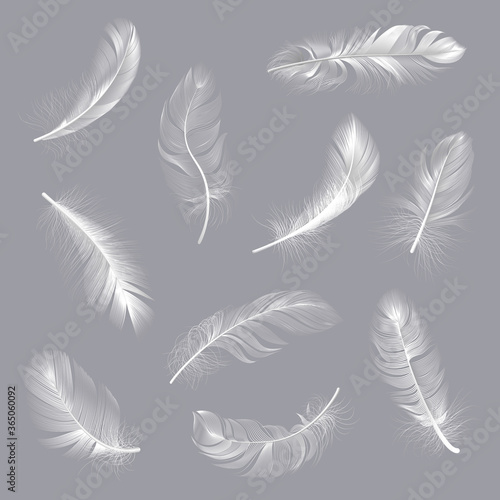 Realistic feathers. Fluffy white twirled feathers, bird wing falling weightless feather, flying lung quill isolated vector illustration set. White feather, fluffy soft realistic collection
