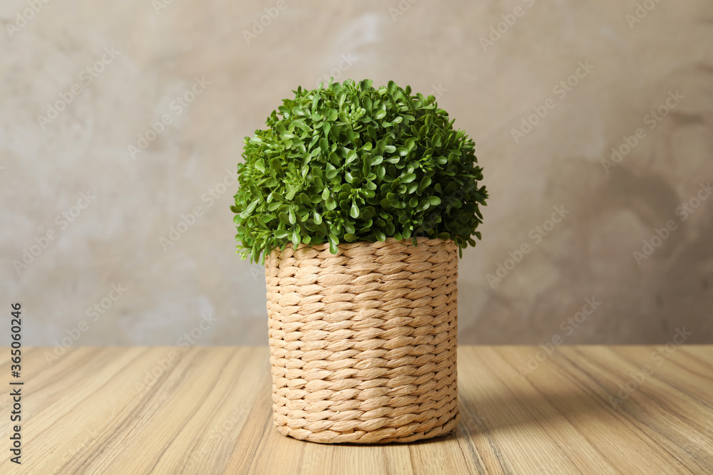 Beautiful artificial plant in wicker flower pot on wooden table Beautiful artificial plant in wicker flower pot on wooden table