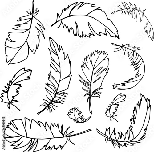 Isolated FEATHERS on white, hand drawn, black and white. Vector EPS 10. Use for print on greeting card, invitations, dishes, textiles, wedding, books, wallpapers, fabric, illustration, decor.