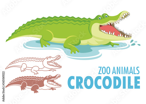 Crocodile cartoon illustration