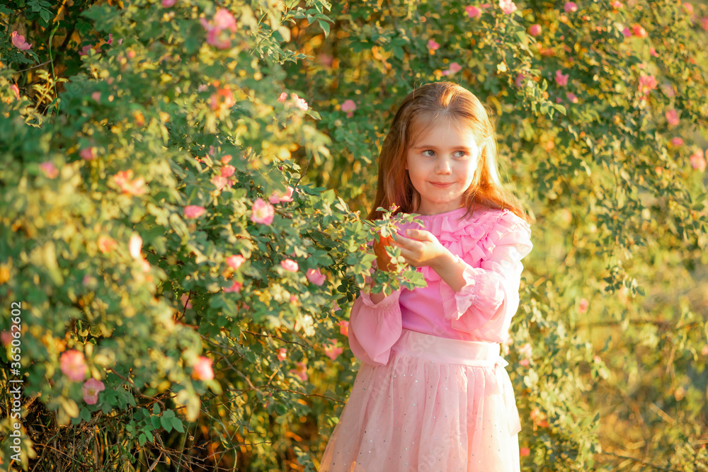 little girl in the garden enjoys bloom briar little girl in the garden enjoys bloom briar