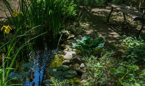 Beautiful small garden pond with a frog-shaped fountain and stone shores in spring. Selective focus. Nature concept for design