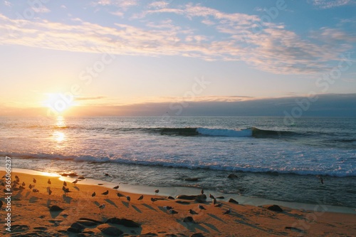 sunset on the beach