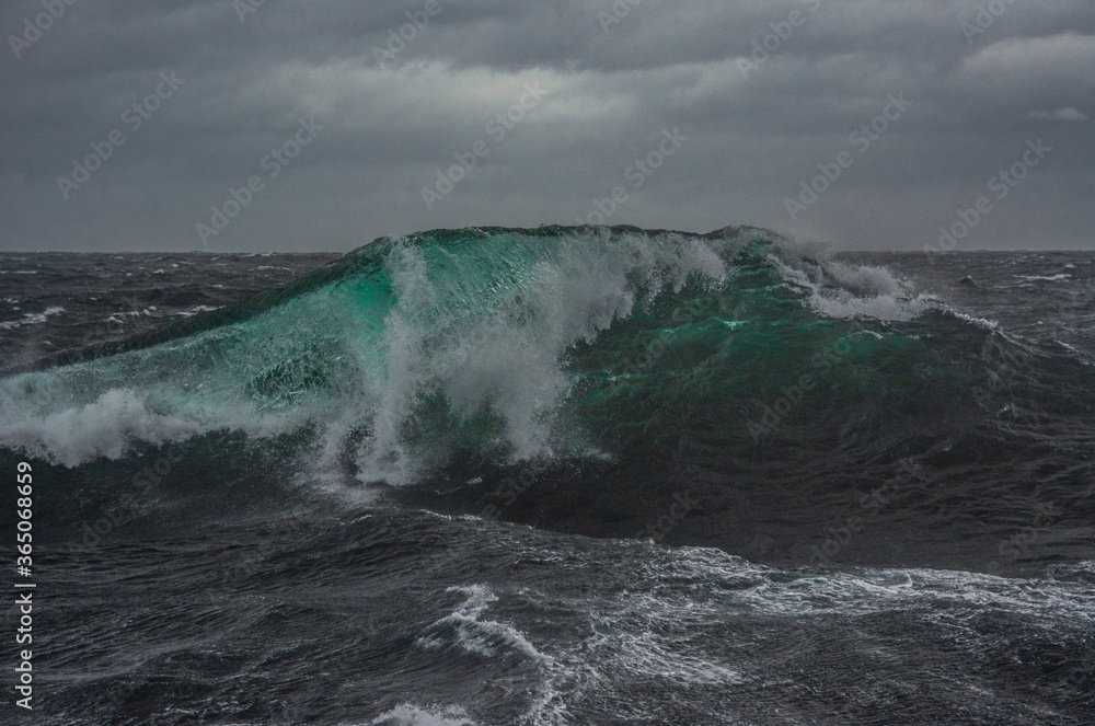 Ocean Marine Waves, Olas Marinas