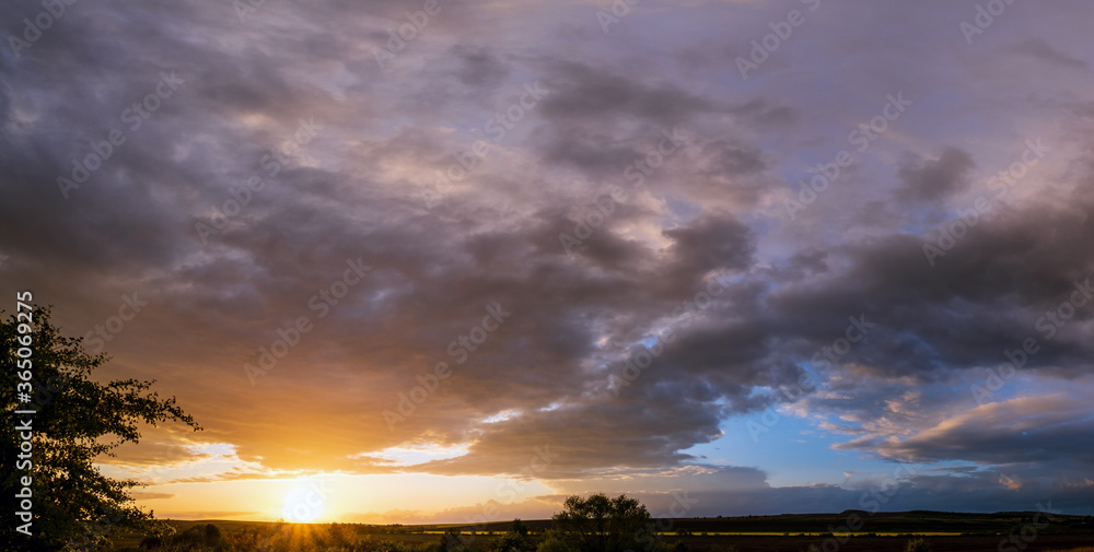 Obraz premium Spring evening meadow after rain