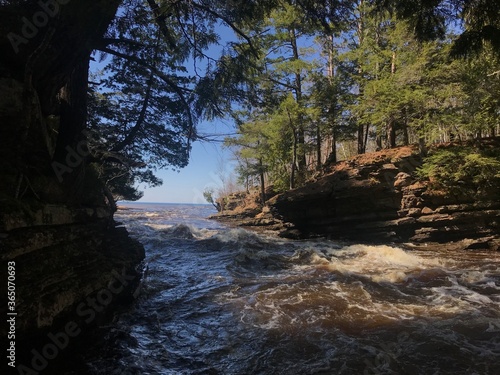 river in the forest