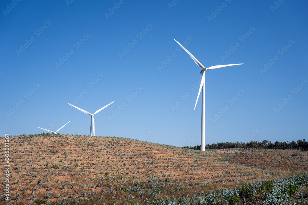 Fototapeta premium Wind turbines on a renewable energy wind farm eco field. Green ecological power energy sustainable generation. Eolic energy park