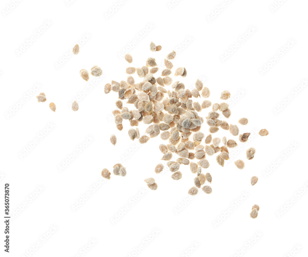Pile of raw tomato seeds on white background, top view. Vegetable planting Pile of raw tomato seeds on white background, top view. Vegetable planting