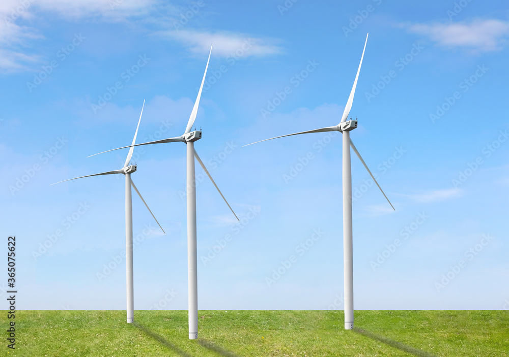 Fototapeta premium Alternative energy source. Wind turbines in field under blue sky