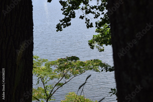 The Occoquan River sparkling in the sun photo