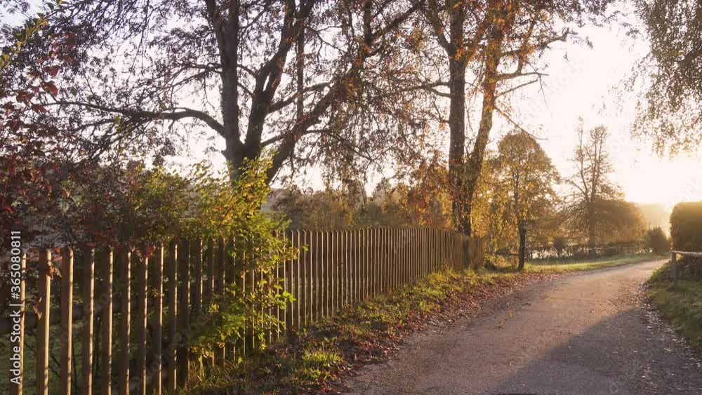 morning village street with the fence illuminated with the bright sunbeams
morning village street with the fence illuminated with the bright sunbeams