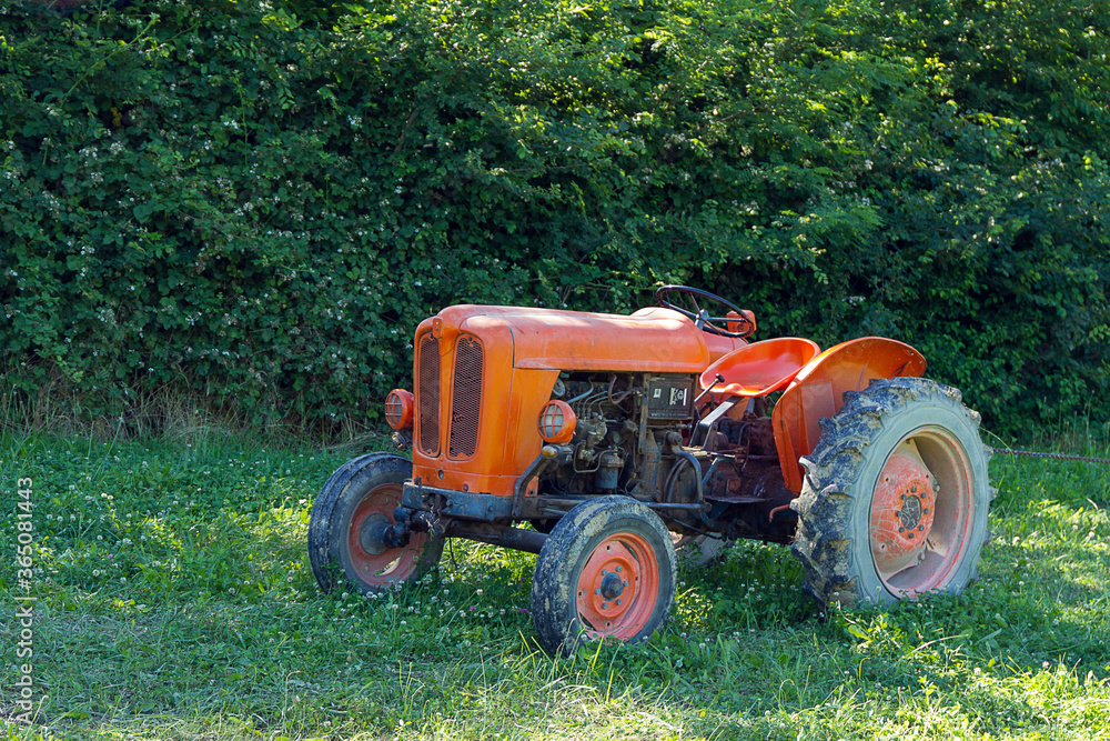 Obraz premium Old red tractor standing on green grass in a meadow against green forest