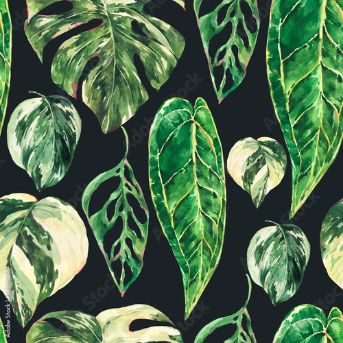 Watercolor aroid home plants seamless pattern. Botanical texture, tropical summer green leaves wallpaper photo