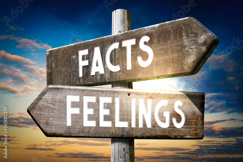Facts, feelings - wooden signpost, roadsign with two arrows photo