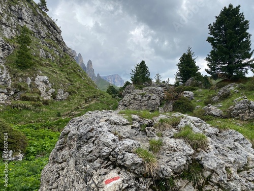rock in the mountains