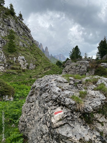hiking in the mountains