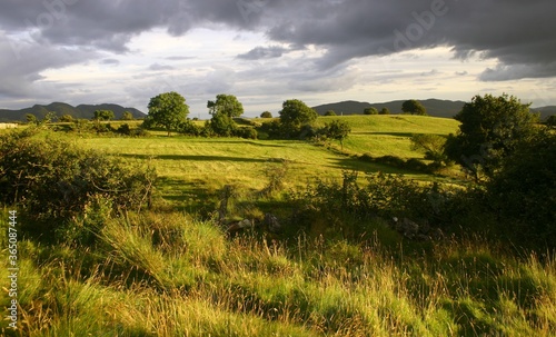 Green fields illuminated by evening sunshine breaking through grey clouds in Calry, County Sligo, Ireland during summertime