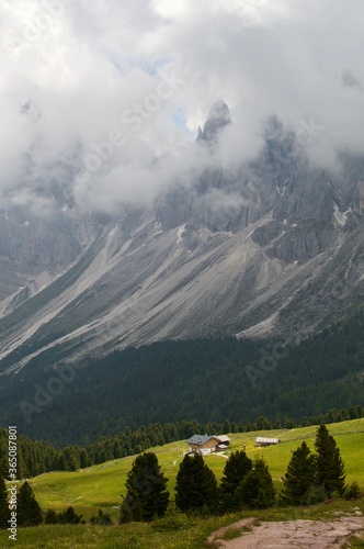 landscape in the mountains