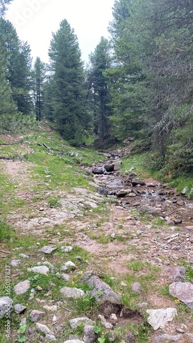 trail in the mountains