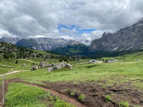 alpine meadow in the alps