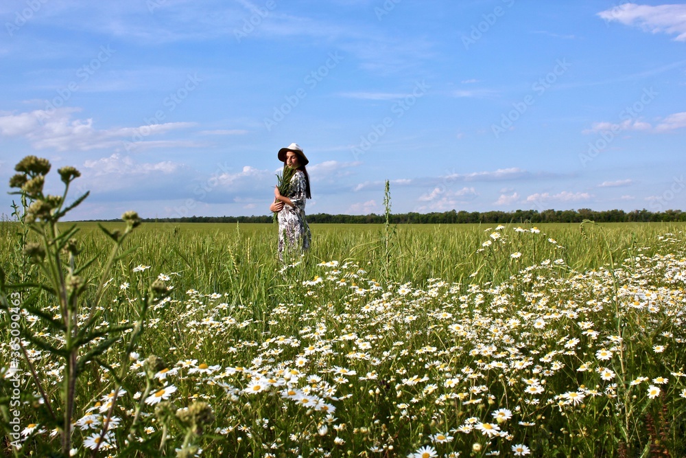 Beautiful young girl with wheat in her hands walking on a flowering summer field. Beautiful young girl with wheat in her hands walking on a flowering summer field.