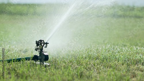 Water Sprinkler on Grass in Morning Light - Half Speed