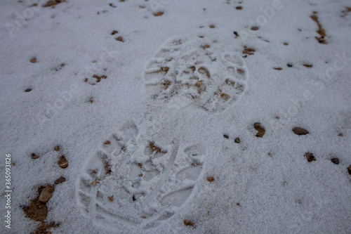shoeprint in the snow
