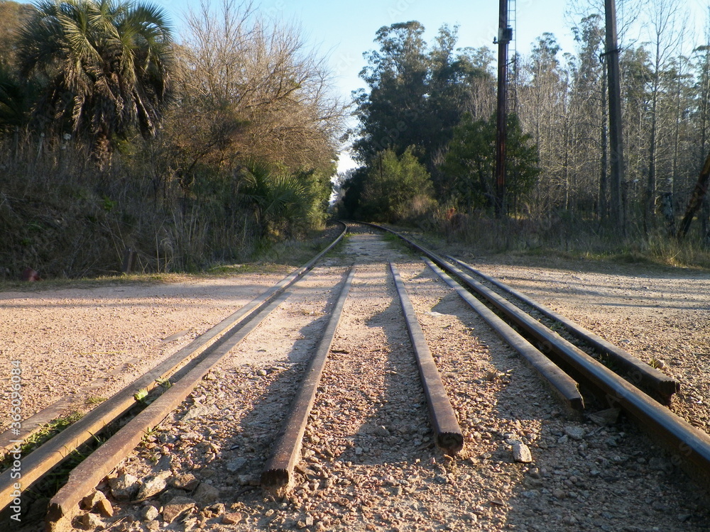 Fototapeta premium paso nivel vía en el camino hacia el campo 