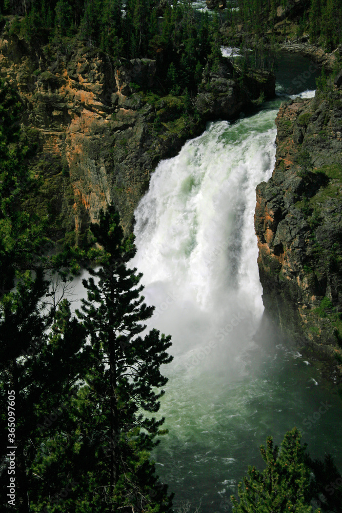 Fototapeta premium Yellowstone River Falls 