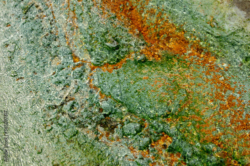 green moss on the stone