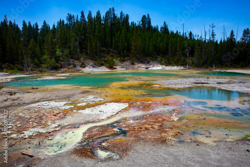 yellowstone national park springs