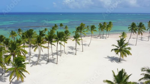 Wallpaper Mural Scenic drone flight seeing coconut trees and one of the most beautiful beaches in the Dominican Republic, Juanillo Torontodigital.ca