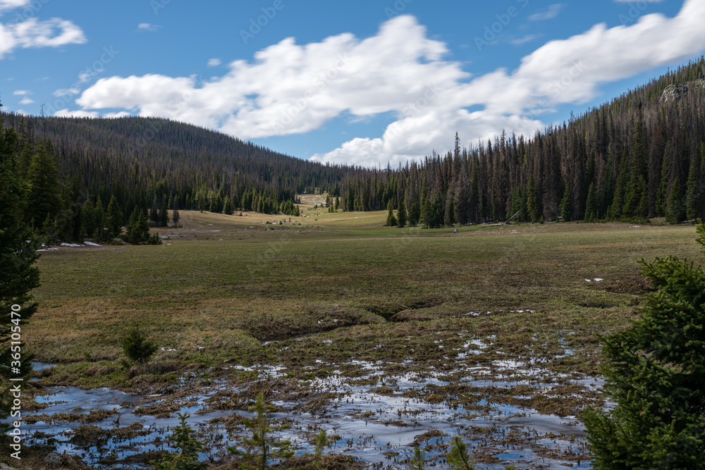 Long Meadows - Rocky Mountain National Park