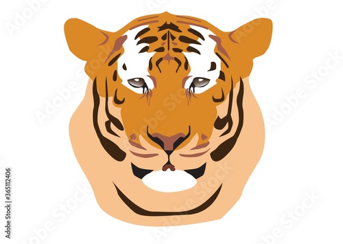 tiger head
