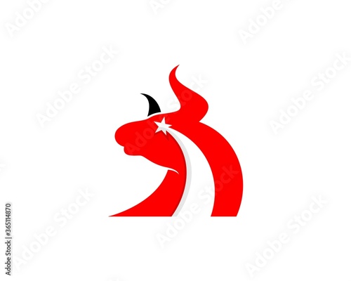 Bull head with rising star inside