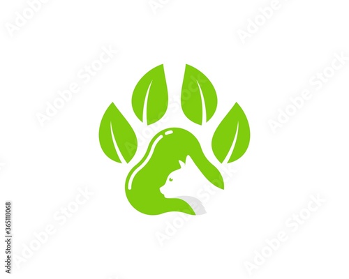 Cat's paws with green leaves