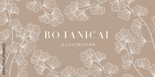 Botanical Illustration
