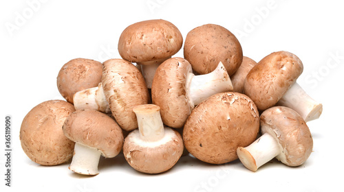 common mushroom