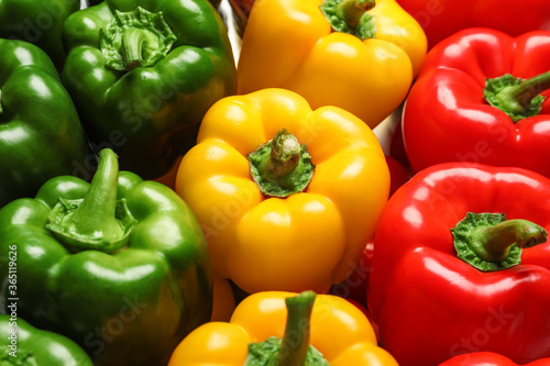 Vászonkép Different bell pepper as background