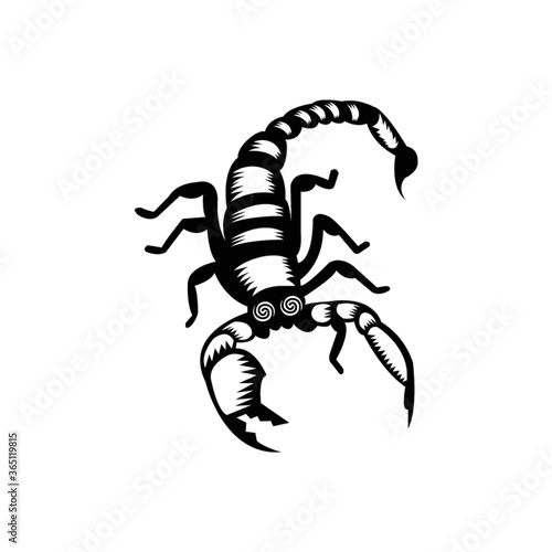 scorpion tattoo design