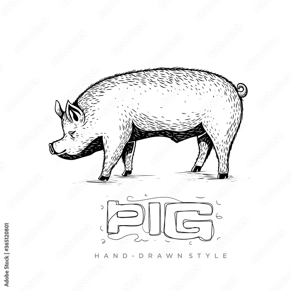 Obraz premium pig vector side view, hand drawn animal illustration