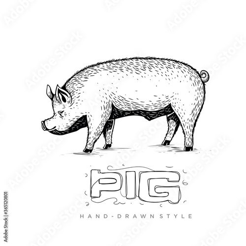 pig vector side view, hand drawn animal illustration