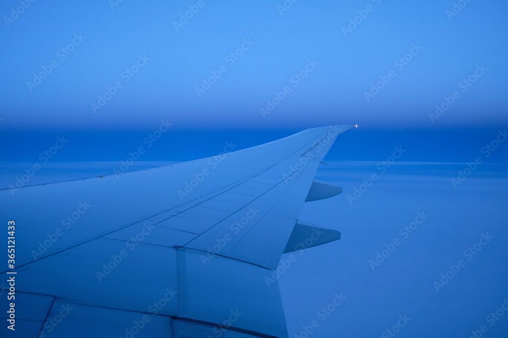 Fototapeta premium 飛行機の翼