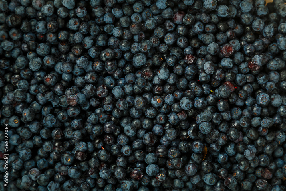 Blueberry berries scattered on a smooth turn. Blueberry berries scattered on a smooth turn.