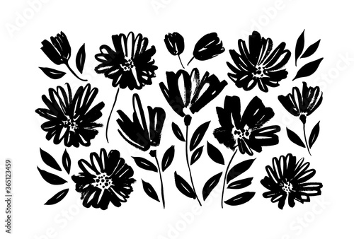 Spring flowers hand drawn vector set. Black brush flower silhouettes. Ink drawing wild plants, herbs or flowers, monochrome botanical illustration. Chamomile, daisy, chrysanthemums isolated cliparts.