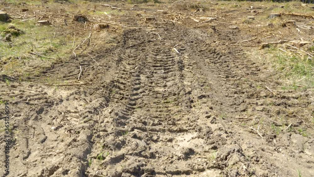 The truck wheels print on the muddy forest ground The truck wheels print on the muddy forest ground